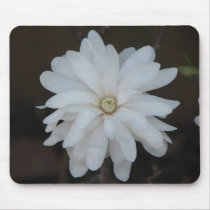 Beautful Magnolia Centennial  Bloom mousepads