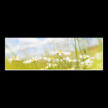 Beautifufl spring meadow background business cards