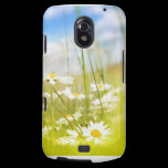 Beautifufl spring meadow background casemate cases