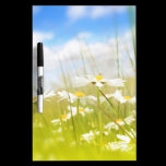 Beautifufl spring meadow background dry erase boards
