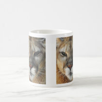 Beautiful Abby mugs