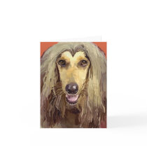 Beautiful Afghan Hound Greeting Card