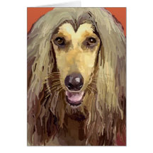 Beautiful Afghan Hound Greeting Card