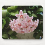 Beautiful African Violet Mouse Pads
