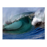 Beautiful afternoon, Hawaiian curl Post Cards