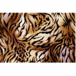 Beautiful Amazones Acrylic Cut Out