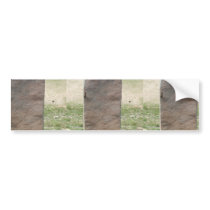 Beautiful Ancient Art On The Stone Bumper Sticker