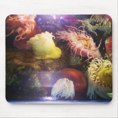 Beautiful and colorful soft coral mousepad by full230