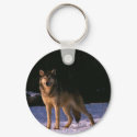 beautiful animals of the wild keychains
