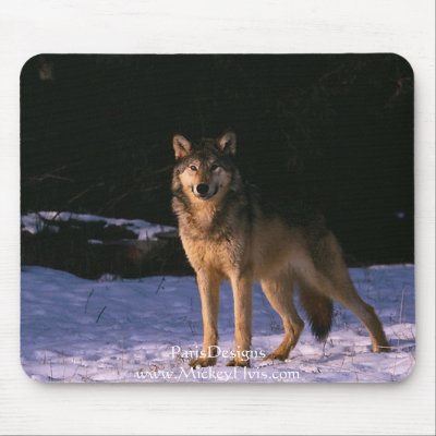 beautiful animals of the wild mouse pad by ParisDesigns
