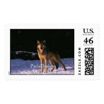 beautiful animals of the wild postage