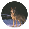 beautiful animals of the wild stickers