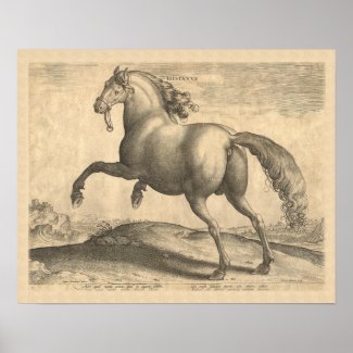 Beautiful Antique Spanish Stallion Elegant