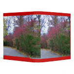 Beautiful Autumn Binder