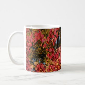 Beautiful Autumn coffee mug mug