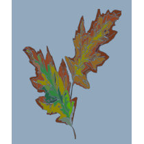 Beautiful autumn-leaves shirt by design_girl Beautiful autumn-leaves shirt