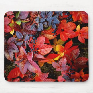 Beautiful Autumn Time Fallen Leaves Mouse Pad mousepad