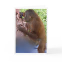 Beautiful Baby Birthday cards by Rebecca_Reeder Beautiful Baby Birthday cards