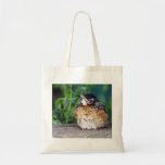 Beautiful Baby Robin Bags