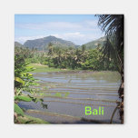 Beautiful Bali rice paddies magnets