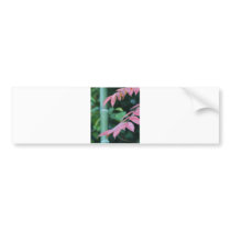 Beautiful Bamboo. Bumper Sticker