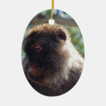 Beautiful Barbary Ape Christmas Ornament