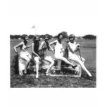 Beautiful Bathing Beauties On Ice T-shirt