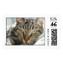 Beautiful Baxter postage by gibsoem Beautiful Baxter postage