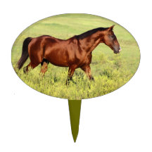 Beautiful Bay Horse Cake Toppers