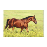 Beautiful Bay Horse