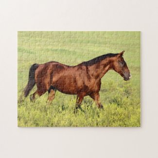 Beautiful Bay Horse puzzle