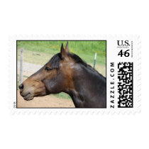 Beautiful Bay stamps