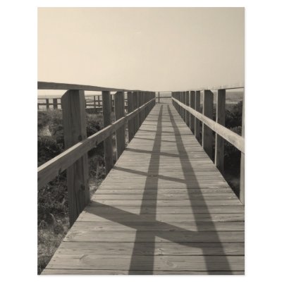 Beautiful "Beach Walk in Sepia" Flyer Design by willowdewisp