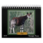 Beautiful Beasts 2010 calendar