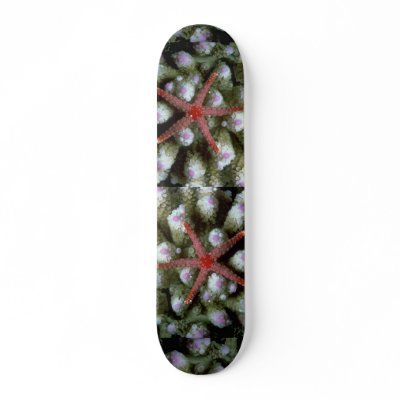 Beautiful Beautiful starfish Skate Board by inspirelove