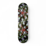 Beautiful Beautiful starfish Skate Board