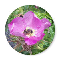 Beautiful Bee Magnet by CreatureCreations Beautiful Bee Magnet