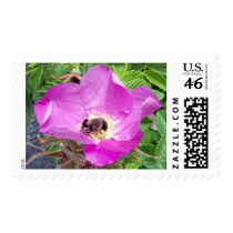 Beautiful Bee Stamp by CreatureCreations Beautiful Bee Stamp