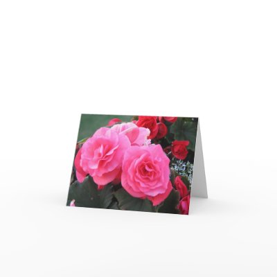 Beautiful Begonia - Card by dthyse