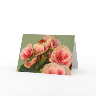 Beautiful Begonias Cards by ArtByLindaLou