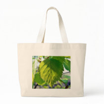 Beautiful Birch Leaves Canvas Bag