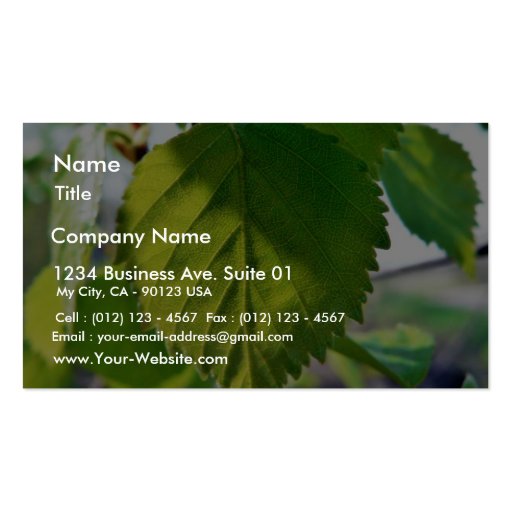 Beautiful Birch Leaves Business Cards (front side)