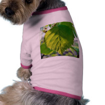 Beautiful Birch Leaves Doggie Shirt