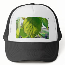 Beautiful Birch Leaves Mesh Hat