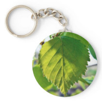 Beautiful Birch Leaves Keychains