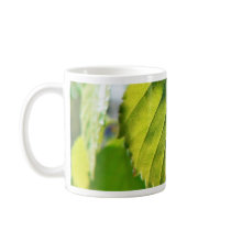 Beautiful Birch Leaves Mug