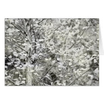 Beautiful Birch Tree Black and White Nature Photo cards