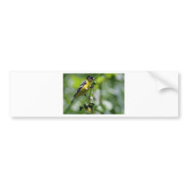 Beautiful Bird Bumper Sticker