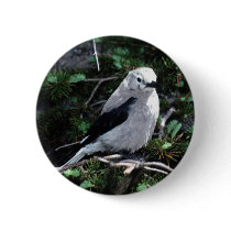 Beautiful Bird buttons