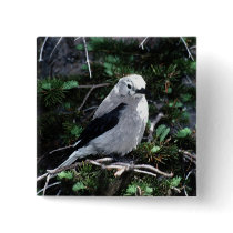 Beautiful Bird buttons